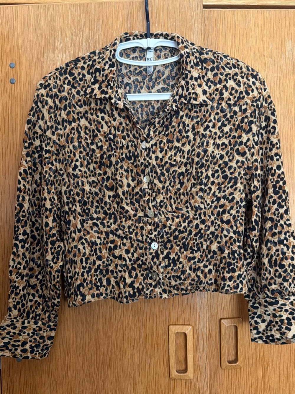Zara Leopard Print Button-Front Cropped Blouse